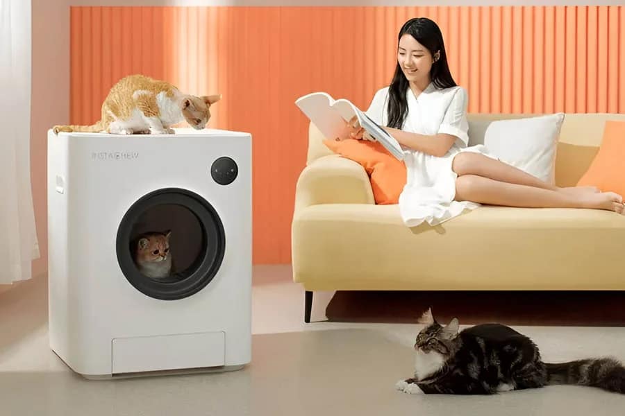 self cleaning cat litter box