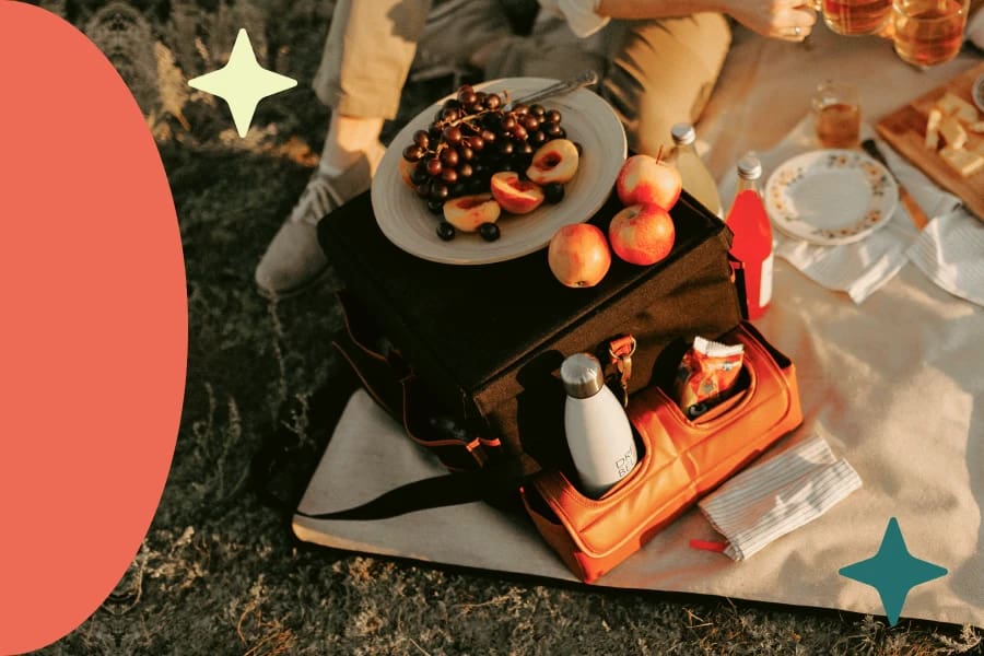 best backseat car organizer