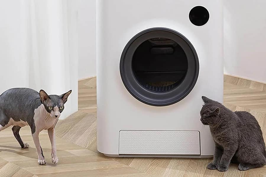 cat robot litter